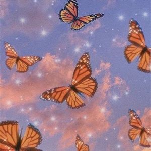 Meet your Posher, Chantal